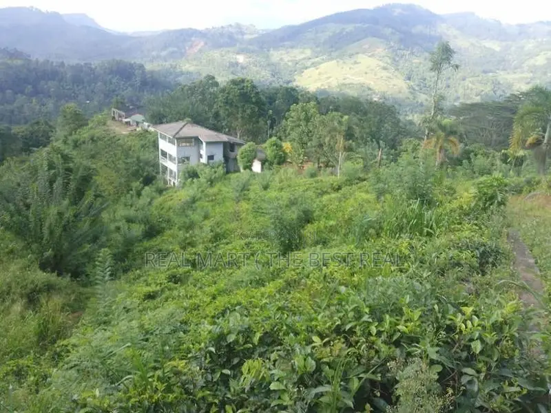KANDY : 9-ACRE TEA ESTATE WITH BUILDING FOR SALE