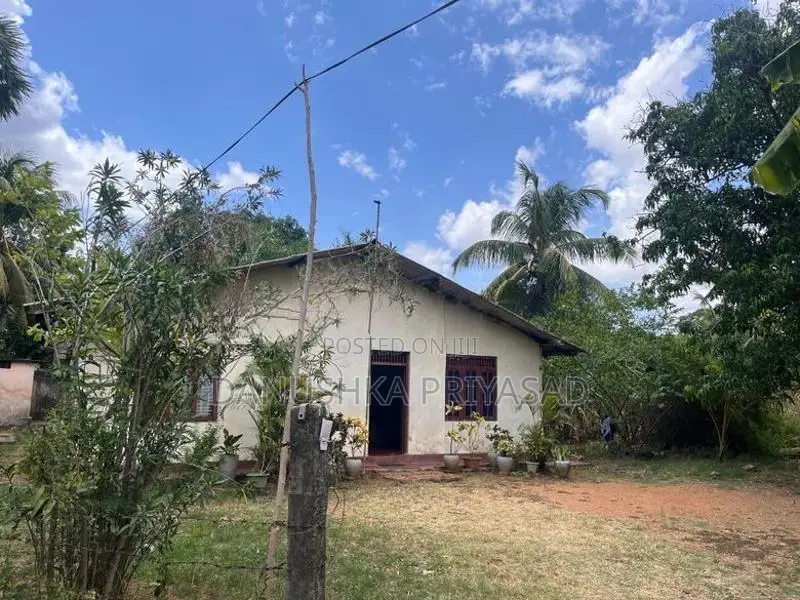 Land for Sale in කන්තලේ