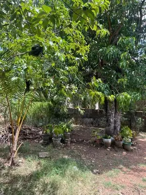 Land for Sale in කන්තලේ