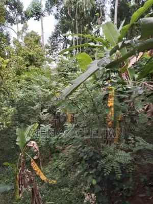 Land with House Sale - Wattegama