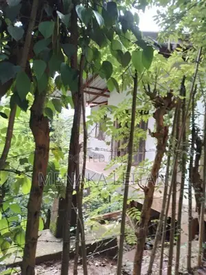 Land with House Sale - Wattegama