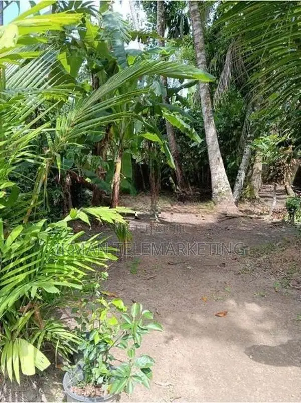 Prime Residential Land for Sale In Gampaha Town