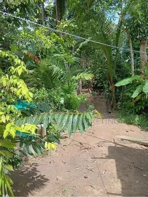 Prime Residential Land for Sale In Gampaha Town