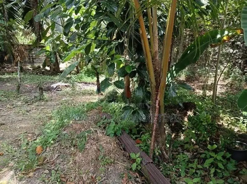 Prime Residential Land for Sale In Gampaha Town