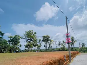 Valuable Land For Sale Wadduwa