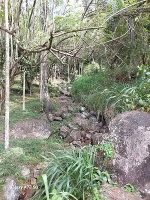Prime 28-Acre Land for Sale in Gampola
