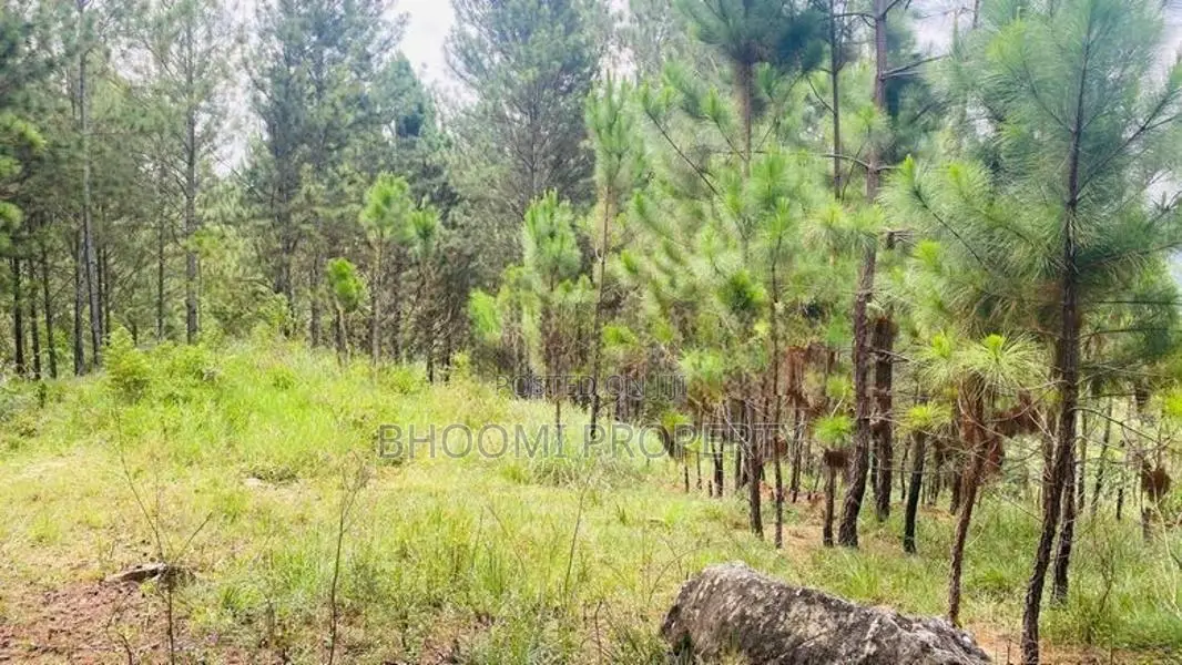பதுளையில் நில விற்பனைக்கு