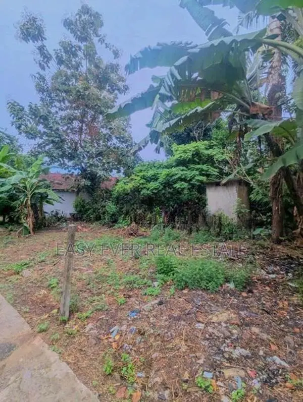 Land for sale in ja ela / HS 16223