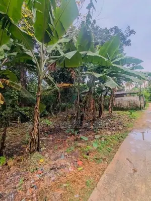 Land for sale in ja ela / HS 16223