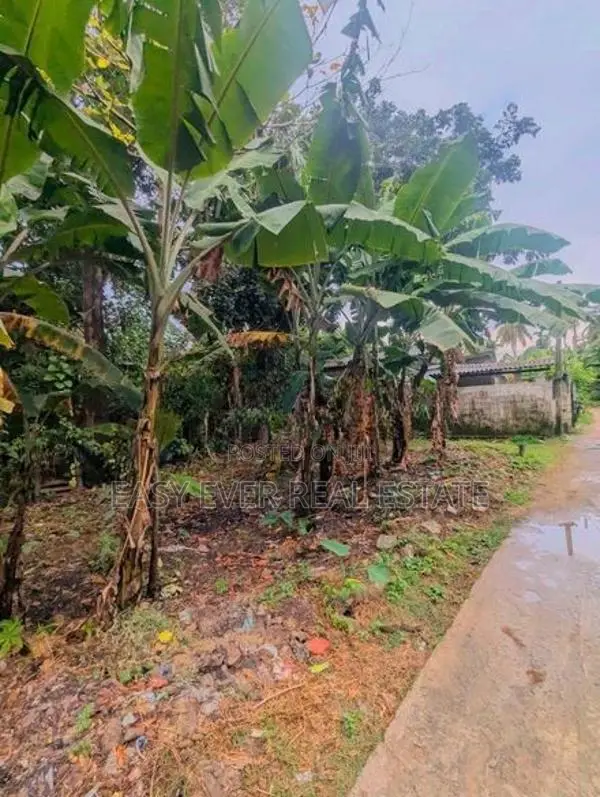 Land for sale in ja ela / HS 16223