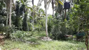Vehicle Service Station with a Land for Sale at Moragahahena, Millewa
