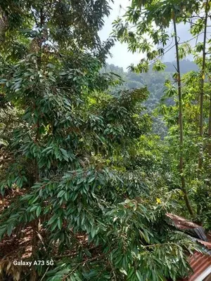 Prime 28-Acre Land for Sale in Gampola