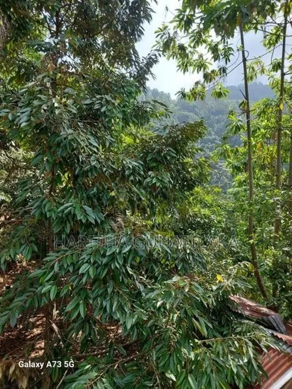 Prime 28-Acre Land for Sale in Gampola