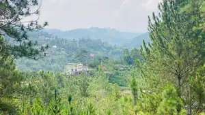 பதுளையில் நில விற்பனைக்கு