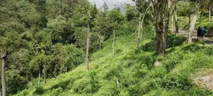 ஹப்புதலையில் நில விற்பனைக்கு