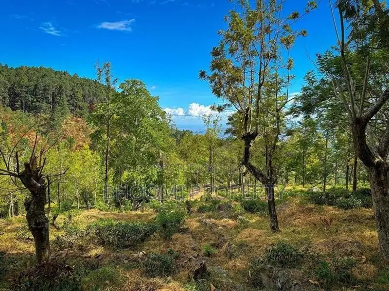 Land for Sale in Haputale