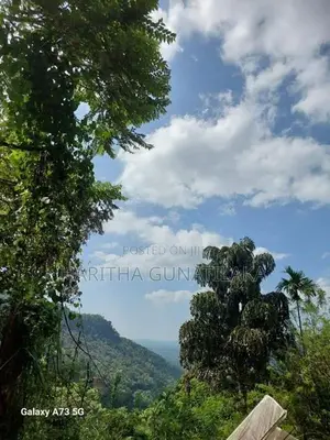 Prime 28-Acre Land for Sale in Gampola