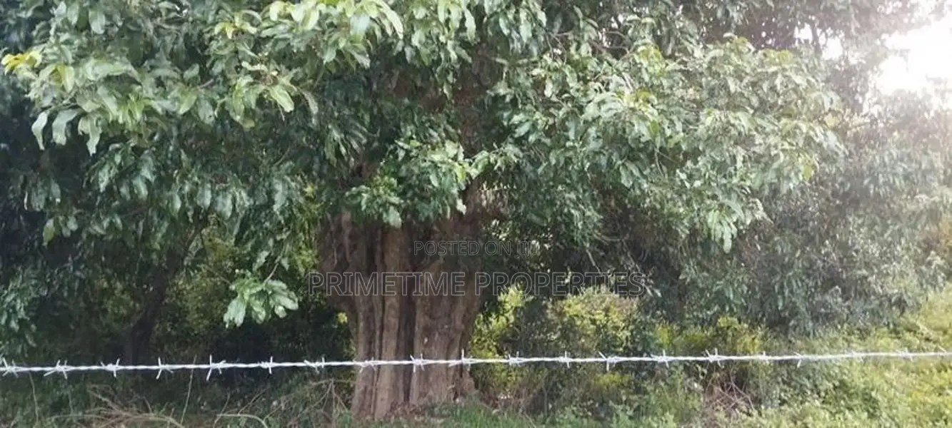 (KL908) 327 Perch Land for Hotel Project in Trincomalee