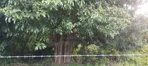 (KL908) 327 Perch Land for Hotel Project in Trincomalee