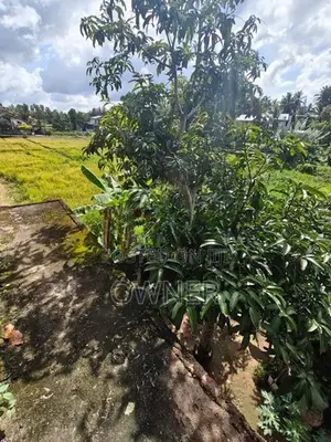 House For Sale Pannipitiya