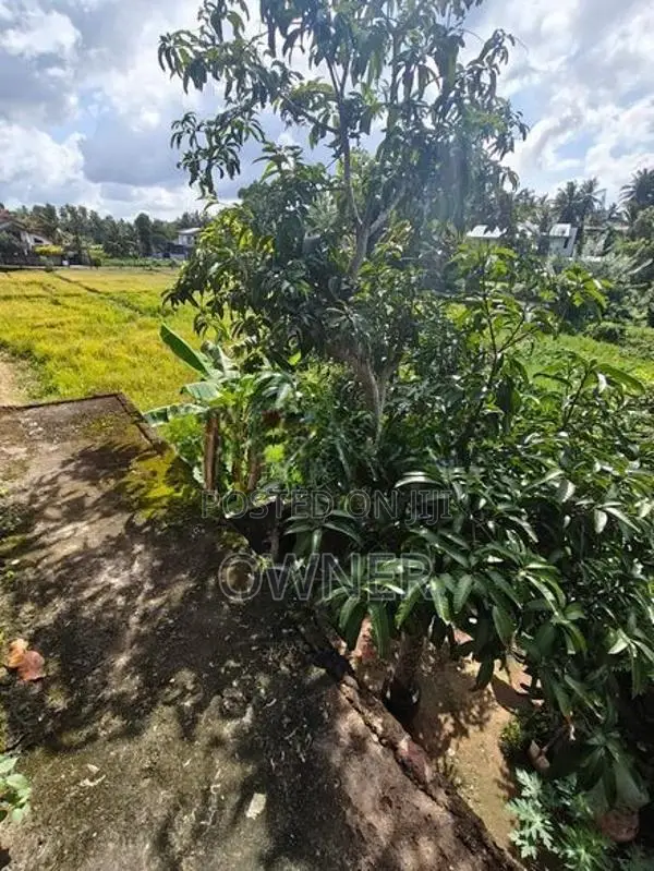 House For Sale Pannipitiya