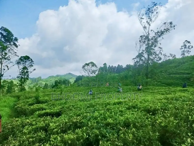 வட்டவல இயற்கையான நிலங்கள் விற்பனைக்காக