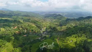 Natural Houses for Sale in Rozella