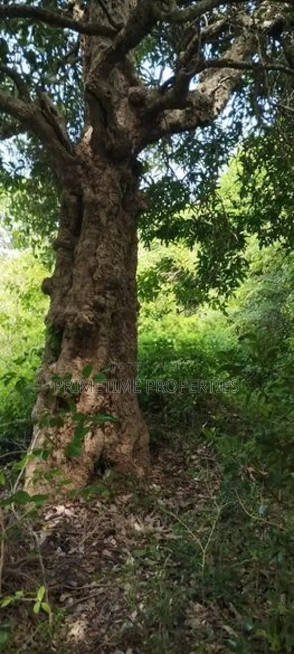 (KL908) 327 Perch Land for Hotel Project in Trincomalee