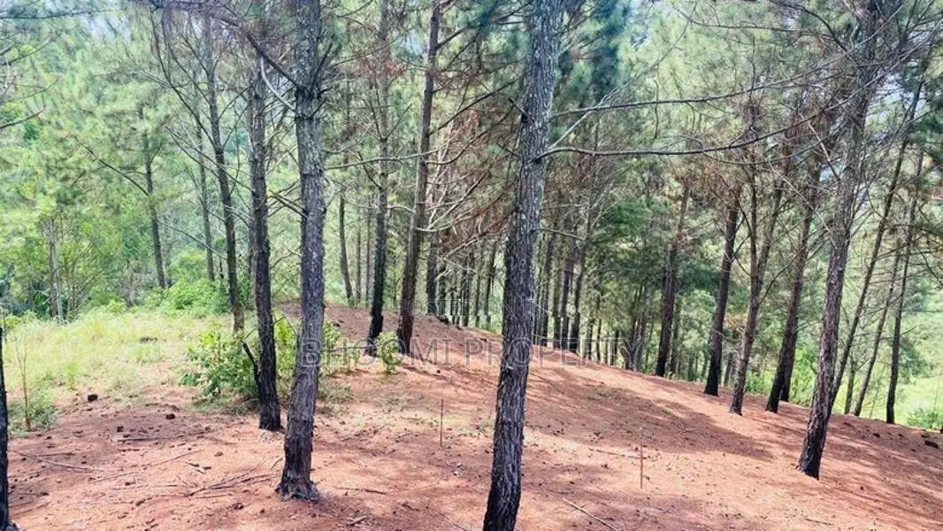 Attractive Land Plots for Sale in Ella