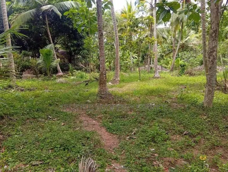Narammala Land for Sale