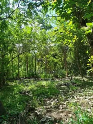 Valuable Land For Sale In Monaragala