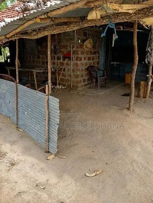 තණමල්විල උඩවලව "19 කනුවේ" ඉඩම් අක්කර 3 ක් විකිණීමට ඇත