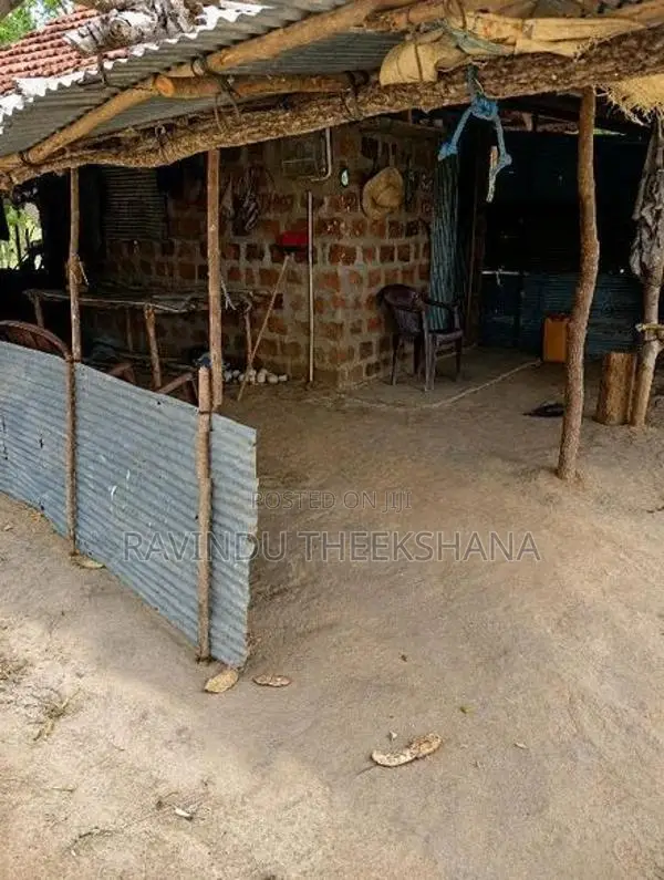 තණමල්විල උඩවලව "19 කනුවේ" ඉඩම් අක්කර 3 ක් විකිණීමට ඇත
