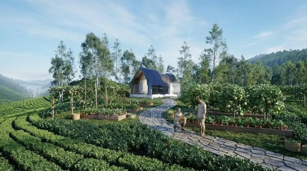 Natural Houses for Sale in Rozella