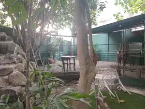 House For Rent Facing Pagoda Road Pitakotte [ 2206C ]