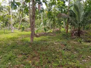 Land for Sale Narammala