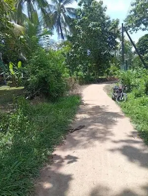 Land for Sale Narammala