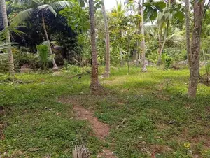 Land for Sale Narammala