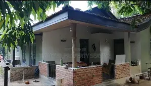 Coconut Land for Sale Ibbagamuwa 10.05