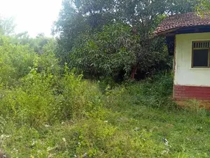 Land for Sale Narammala