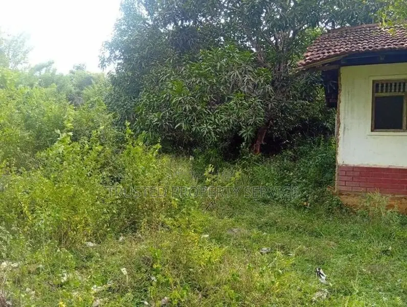 Land for Sale Narammala