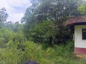 Land for Sale Narammala