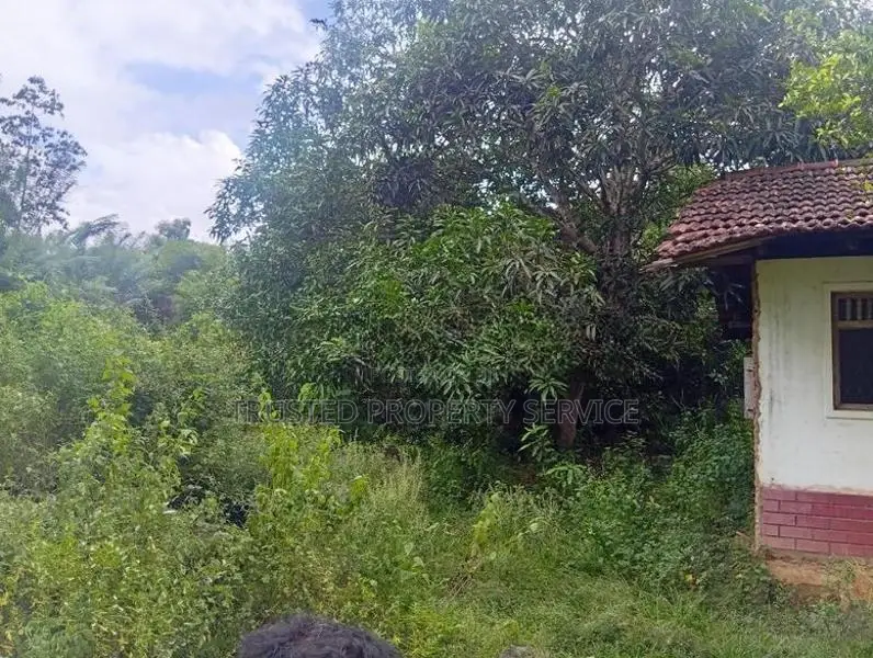 Land for Sale Narammala