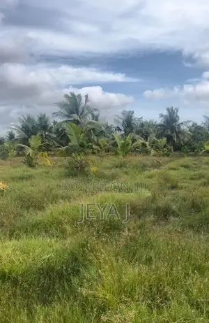 Coconut Land For Sale – Near Puttur