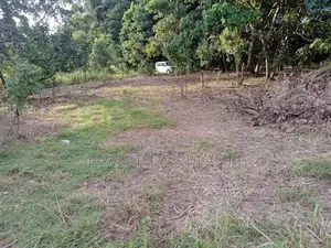 Valuable Land for Sale Makola