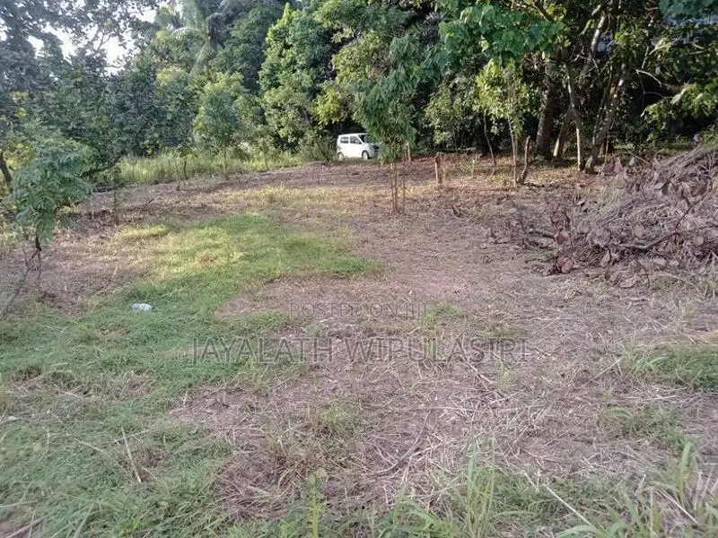 Valuable Land for Sale Makola
