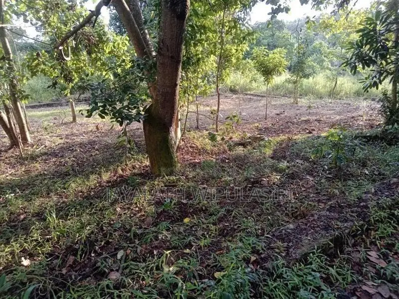 Valuable Land for Sale Makola