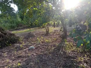 Valuable Land for Sale Makola