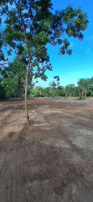 Land Plots Near to Turtle Beach Tangalle Rekawa