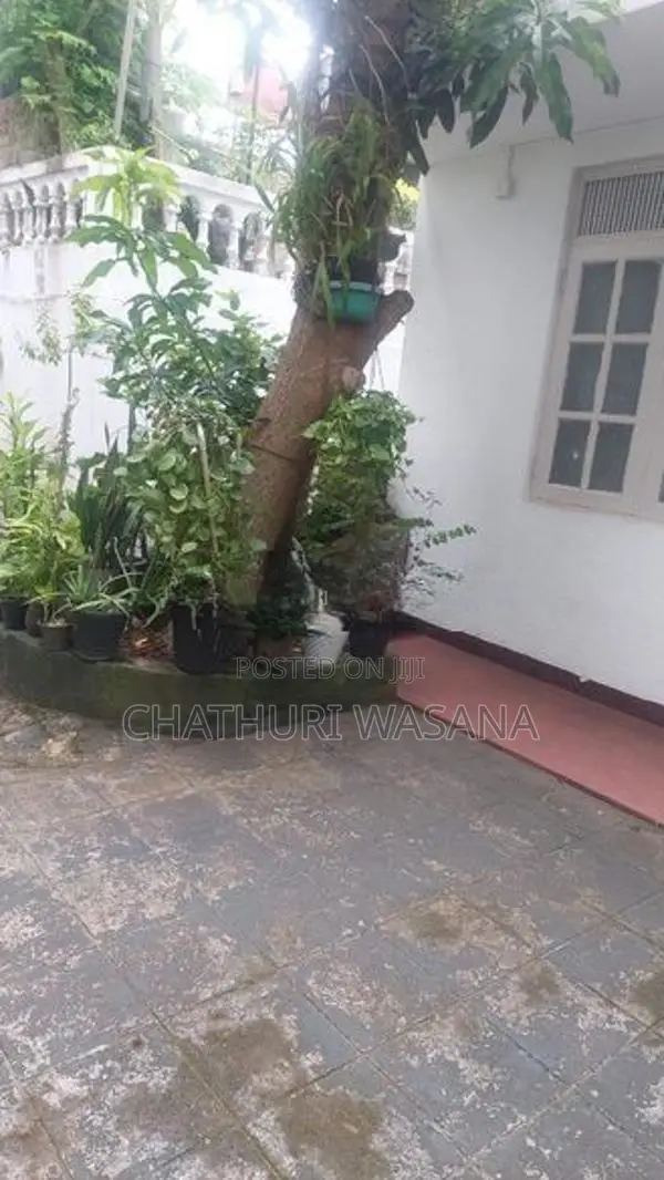 Room for Rent at Mount Lavinia